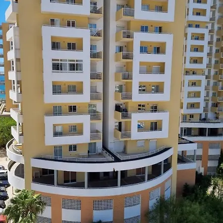 Elite 8a ポルティマン